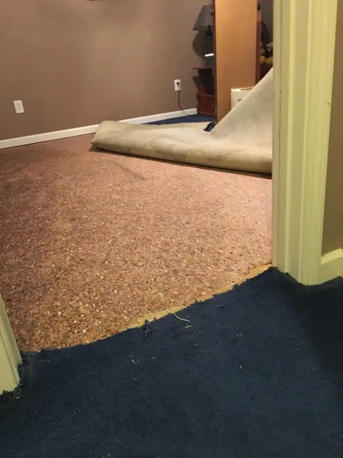 Carpet pad removal revealing water damage during Drying & Dehumidification in Hammond