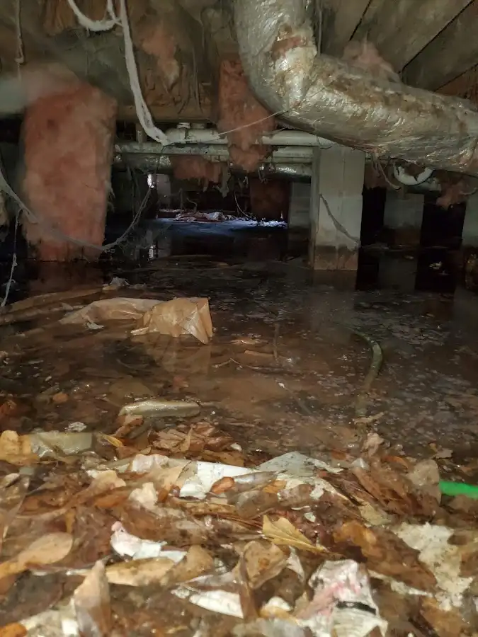 Crawl space flood assessment for Leak Detection & Repair in Hammond