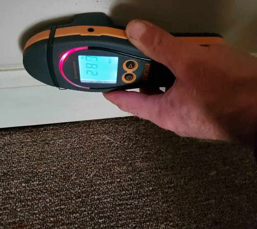 Moisture detection at baseboard during Sewage Cleanup & Sanitation in Hammond